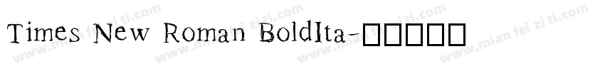 Times New Roman BoldIta字体转换